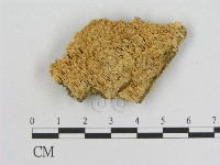 登錄號:F0006927藏品圖，第3張