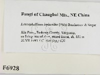 登錄號:F0006928藏品圖，第2張