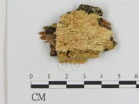 登錄號:F0006928藏品圖，第1張