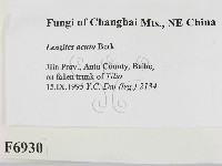 登錄號:F0006930藏品圖，第2張