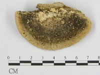 登錄號:F0006930藏品圖，第1張