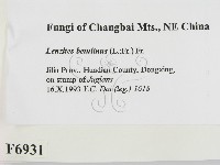 登錄號:F0006931藏品圖，第2張