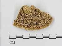 登錄號:F0006933藏品圖，第1張