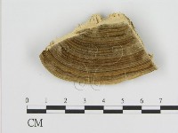 登錄號:F0006933藏品圖，第3張