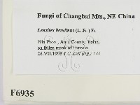 登錄號:F0006935藏品圖，第2張