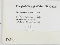 登錄號:F0006936藏品圖，第2張