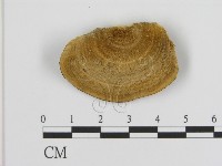 登錄號:F0006936藏品圖，第3張