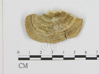 登錄號:F0006937藏品圖，第3張