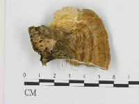 登錄號:F0006938藏品圖，第1張