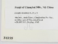 登錄號:F0006939藏品圖，第2張