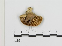 登錄號:F0006939藏品圖，第3張