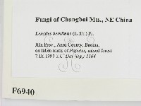 登錄號:F0006940藏品圖，第2張