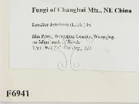 登錄號:F0006941藏品圖，第2張