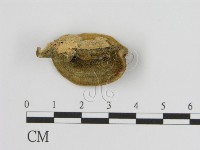 登錄號:F0006941藏品圖，第3張