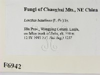 登錄號:F0006942藏品圖，第2張