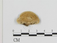 登錄號:F0006942藏品圖，第1張