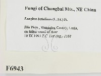 登錄號:F0006943藏品圖，第2張