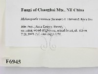 登錄號:F0006945藏品圖，第2張