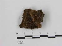 登錄號:F0006945藏品圖，第3張