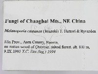 登錄號:F0006946藏品圖，第2張