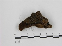 登錄號:F0006947藏品圖，第1張