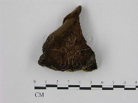 登錄號:F0006948藏品圖，第1張