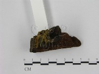 登錄號:F0006948藏品圖，第3張