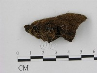 登錄號:F0006949藏品圖，第3張