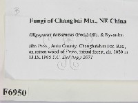 登錄號:F0006950藏品圖，第2張