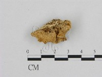 登錄號:F0006950藏品圖，第1張