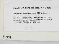 登錄號:F0006951藏品圖，第2張