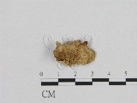 登錄號:F0006951藏品圖，第1張