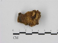 登錄號:F0006952藏品圖，第3張