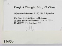 登錄號:F0006953藏品圖，第2張