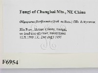 登錄號:F0006954藏品圖，第2張