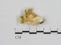 登錄號:F0006954藏品圖，第1張