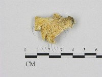 登錄號:F0006954藏品圖，第3張