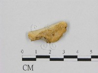 登錄號:F0006956藏品圖，第1張