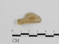 登錄號:F0006956藏品圖，第3張