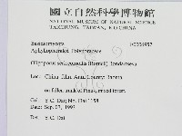 登錄號:F0006957藏品圖，第2張