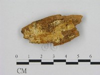 登錄號:F0006957藏品圖，第1張