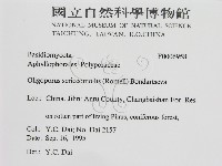 登錄號:F0006958藏品圖，第2張