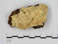 登錄號:F0006958藏品圖，第1張