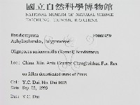 登錄號:F0006959藏品圖，第2張