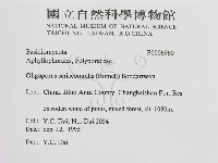 登錄號:F0006960藏品圖，第2張