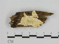 登錄號:F0006960藏品圖，第1張