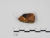 登錄號:F0006961藏品圖，第3張