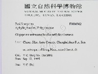 登錄號:F0006962藏品圖，第2張