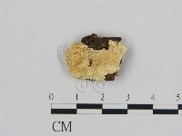 登錄號:F0006962藏品圖，第1張