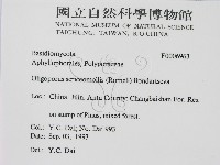 登錄號:F0006963藏品圖，第2張